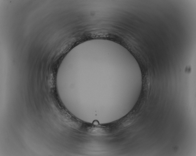 X0000114400224200911131413