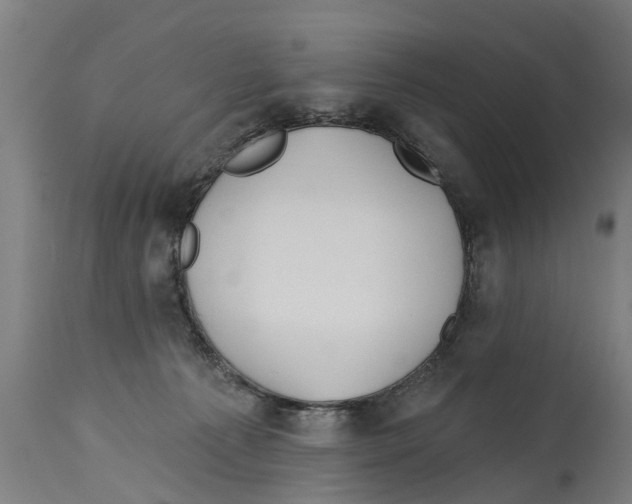 X0000114400225200911131413