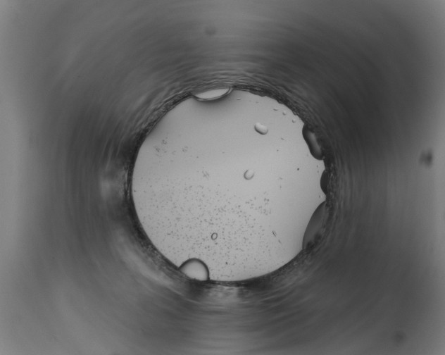 X0000114400227200911131413