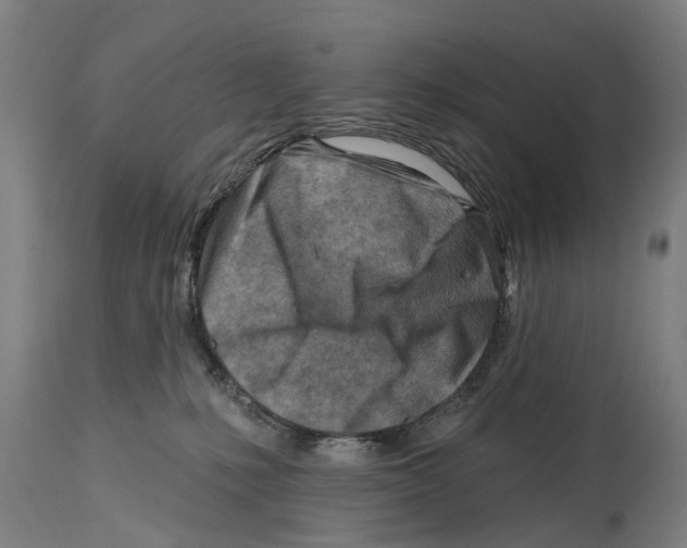 X0000114400231200911131413