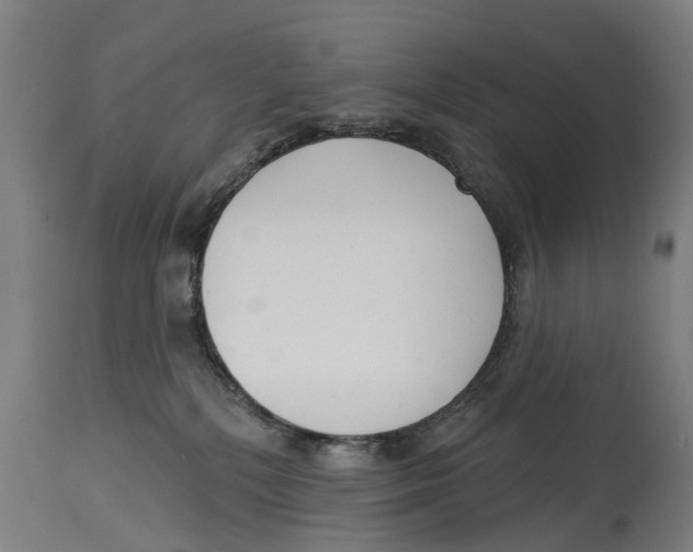 X0000114400232200911131413