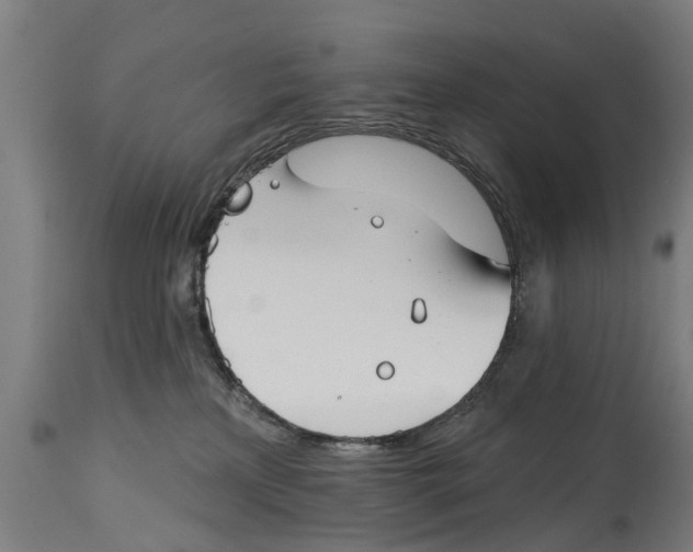 X0000114400233200911131413