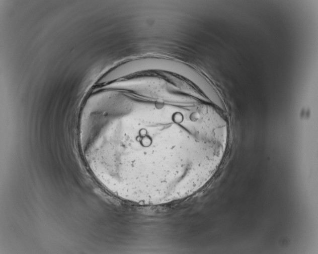 X0000114400241200911131412