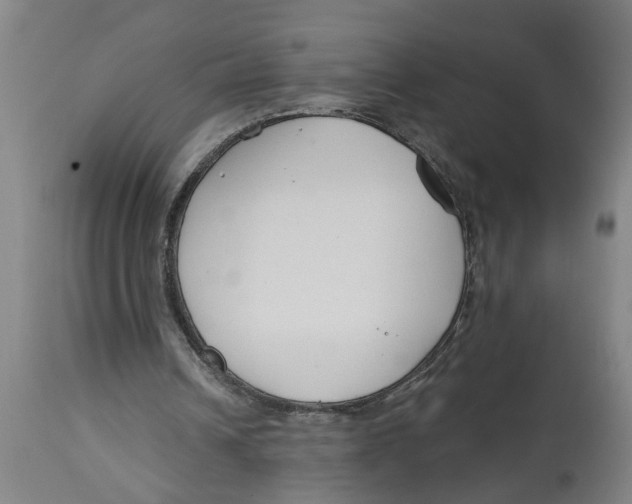 X0000114400242200911131412