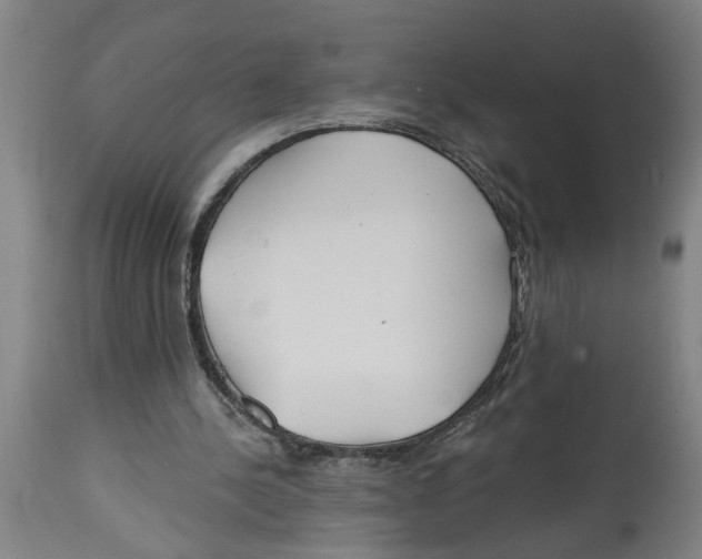 X0000114400244200911131412