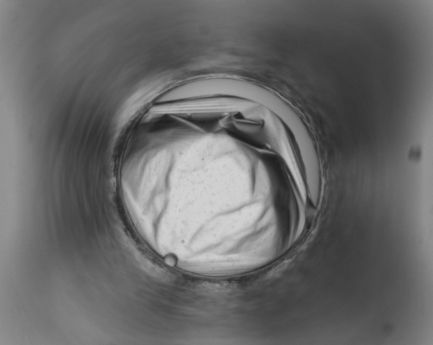 X0000114400245200911131412