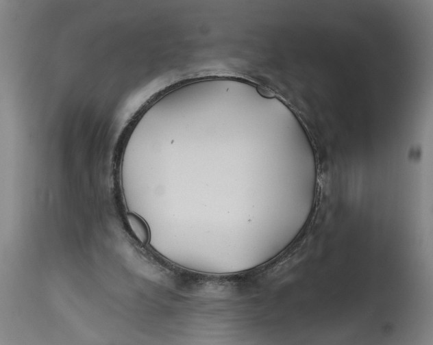 X0000114400248200911131412