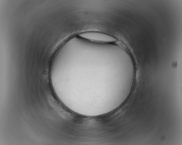 X0000114400249200911131412