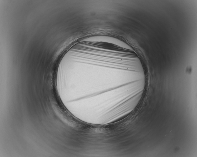 X0000114400250200911131412