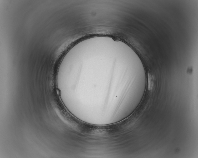 X0000114400252200911131412