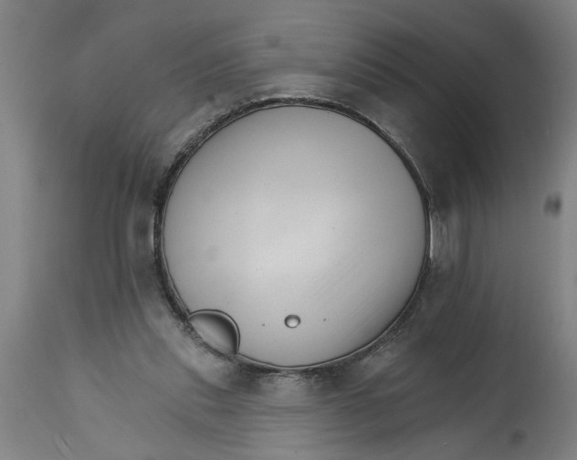 X0000114400253200911131412