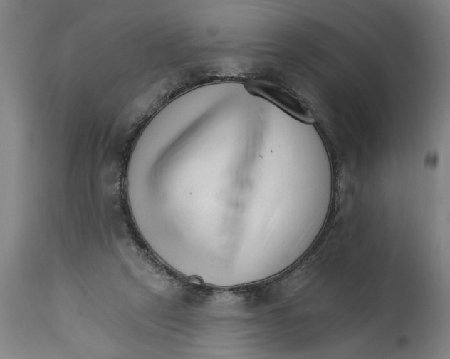 X0000114400257200911131412