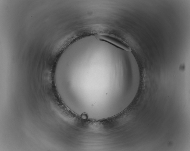 X0000114400258200911131412