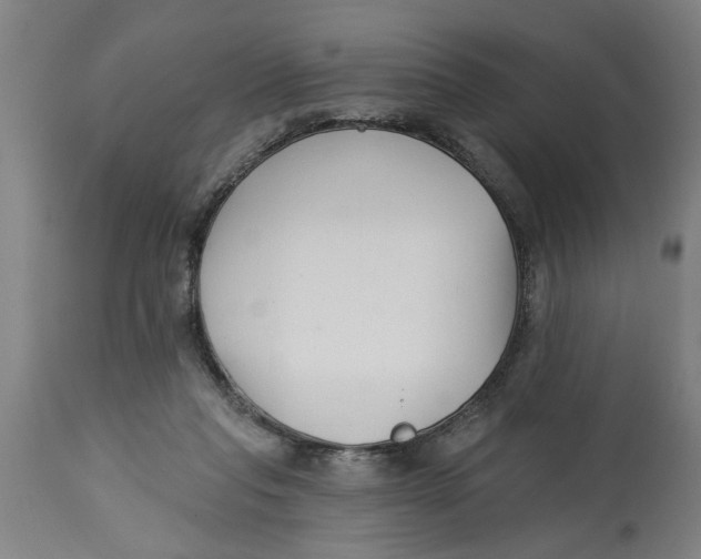 X0000114400261200911131412