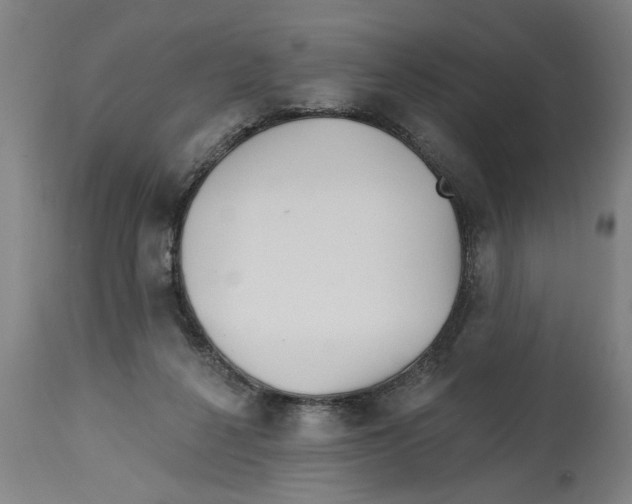 X0000114400264200911131412