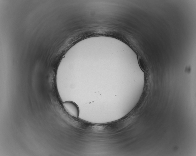 X0000114400265200911131412