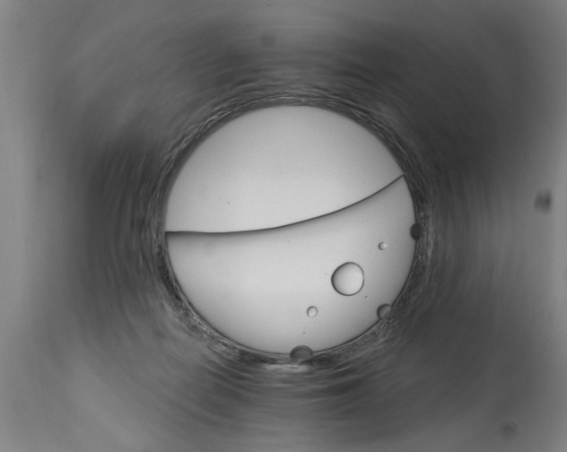 X0000114400266200911131412