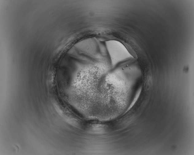 X0000114400268200911131412