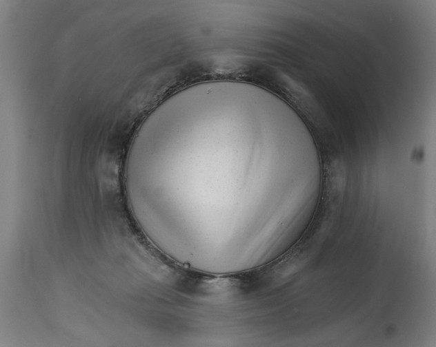 X0000114400269200911131412