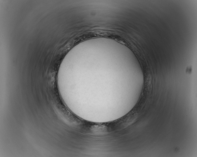 X0000114400271200911131412