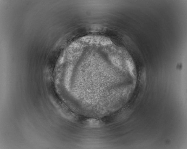 X0000114400272200911131413