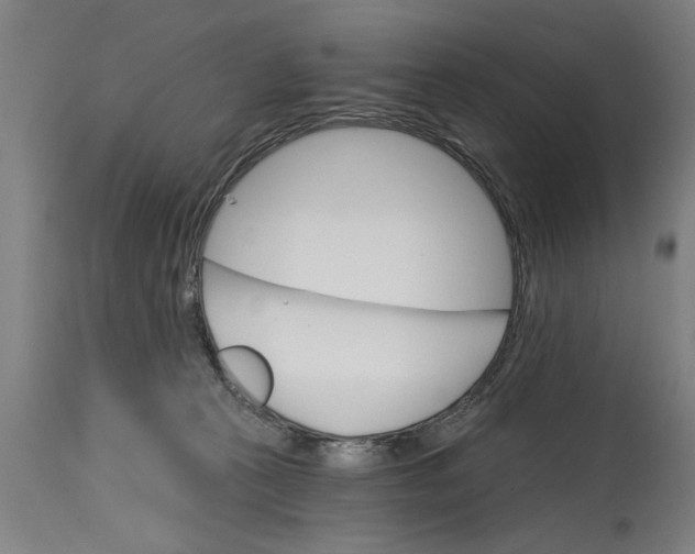 X0000114400273200911131413