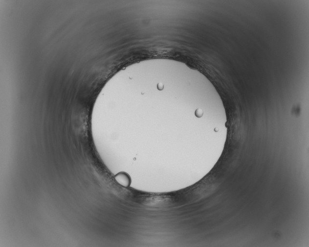 X0000114400274200911131413