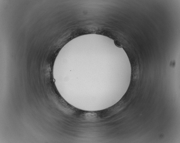 X0000114400279200911131413