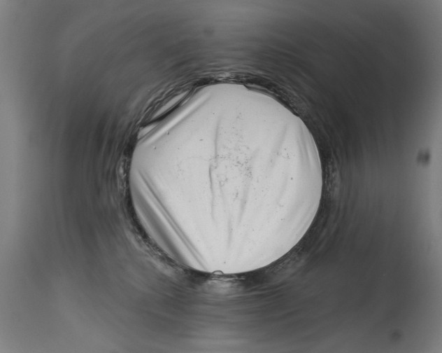 X0000114400280200911131413