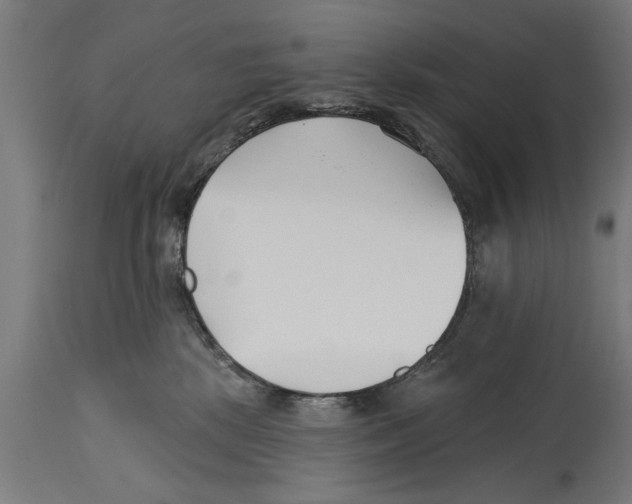 X0000114400281200911131413