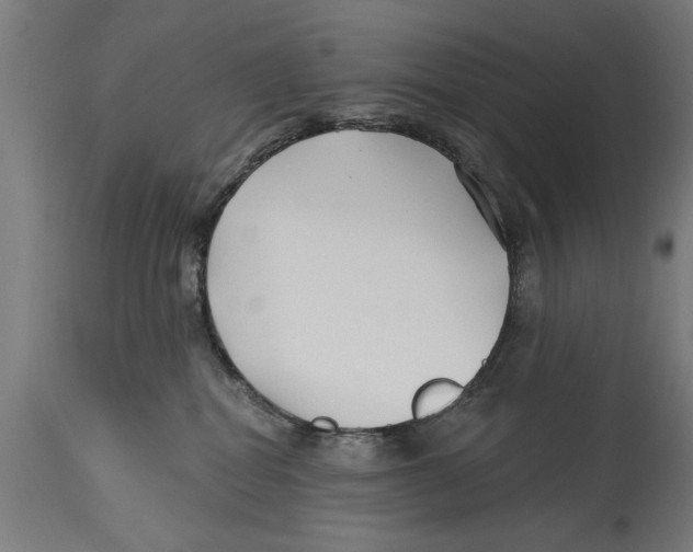 X0000114400282200911131413