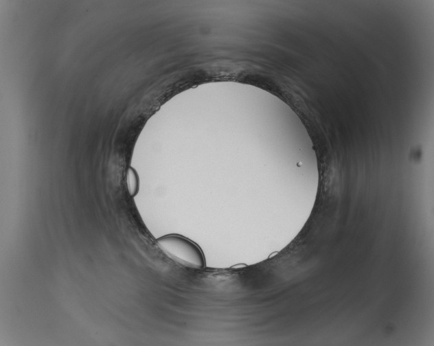 X0000114400283200911131413