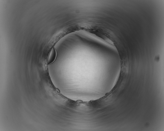 X0000114400285200911131413