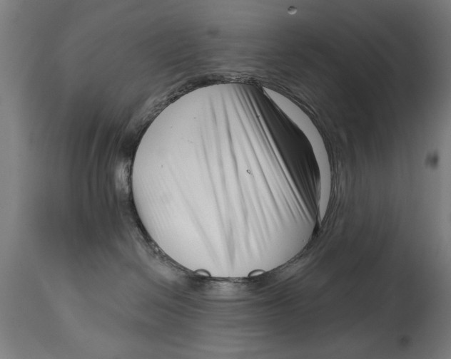 X0000114400286200911131413