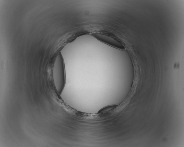 X0000114400288200911131413