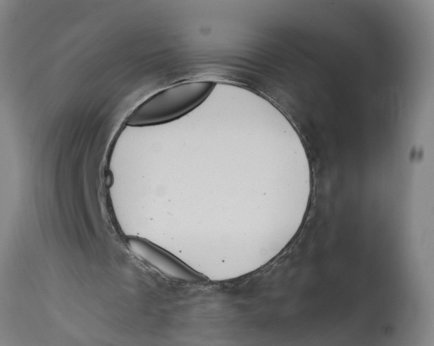 X0000114400289200911131412