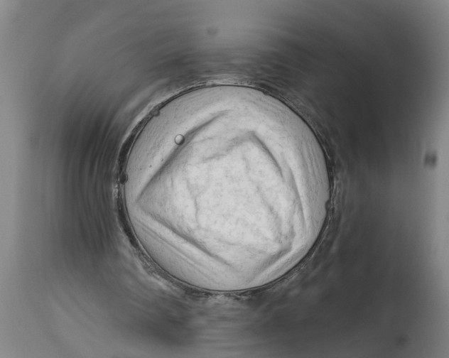 X0000114400290200911131412