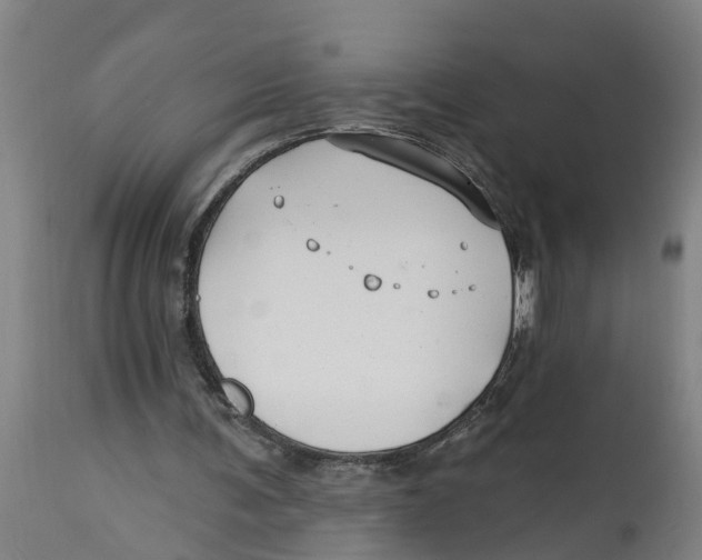 X0000114400291200911131412