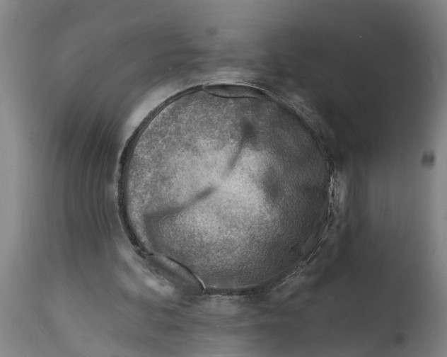 X0000114400292200911131412