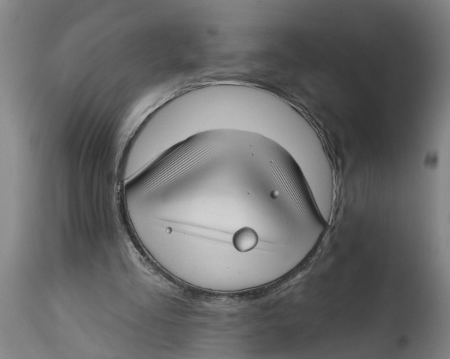 X0000114400293200911131412