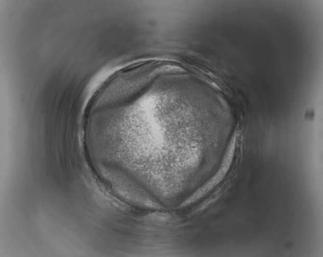 X0000114400294200911131412