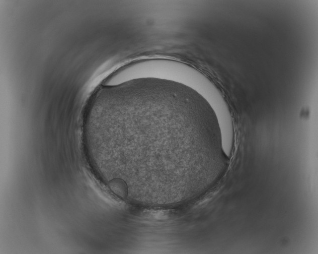 X0000114400295200911131412