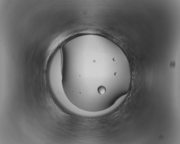 X0000114400296200911131412