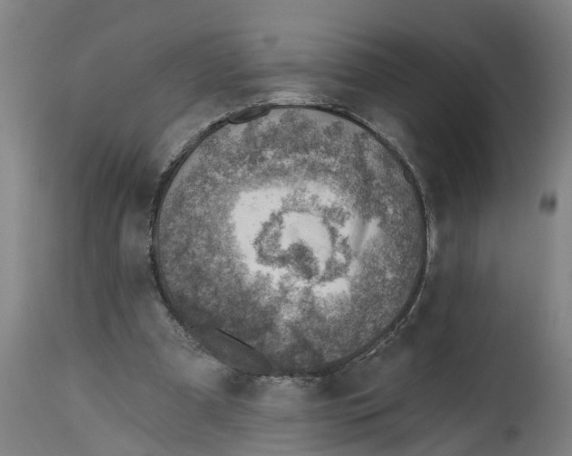 X0000114400297200911131412