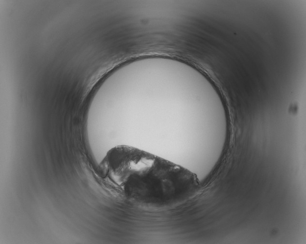 X0000114400299200911131412