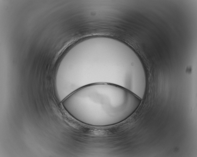 X0000114400300200911131412