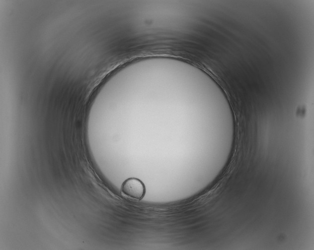 X0000114400301200911131412