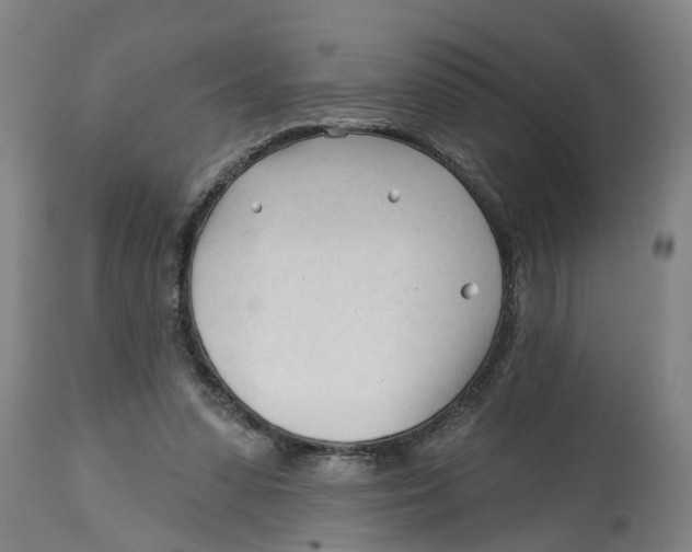 X0000114400303200911131412