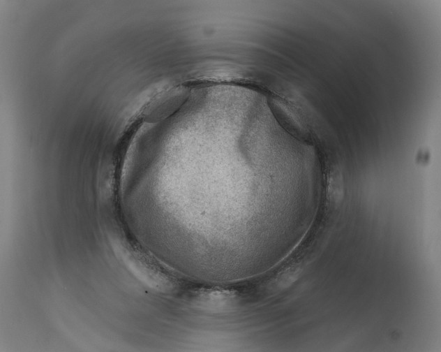 X0000114400304200911131412