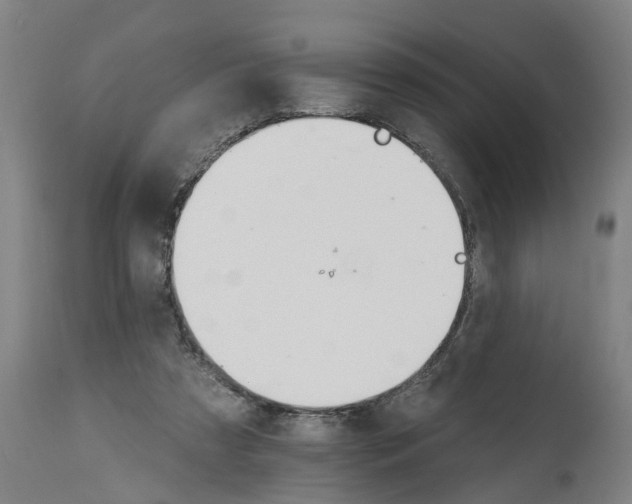 X0000114400305200911131412